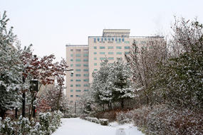 겨울