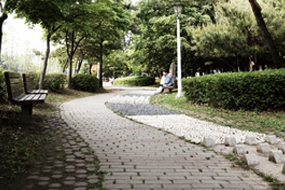 정문 앞 산책로 1
