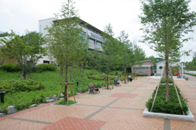 정문 앞 산책로 1
